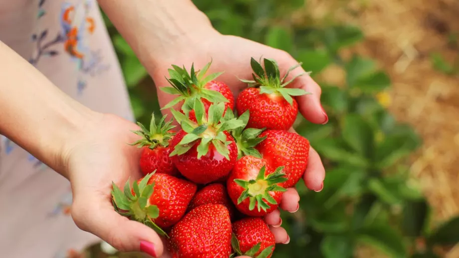 Защо НЕ трябва да режете върховете на ягодите