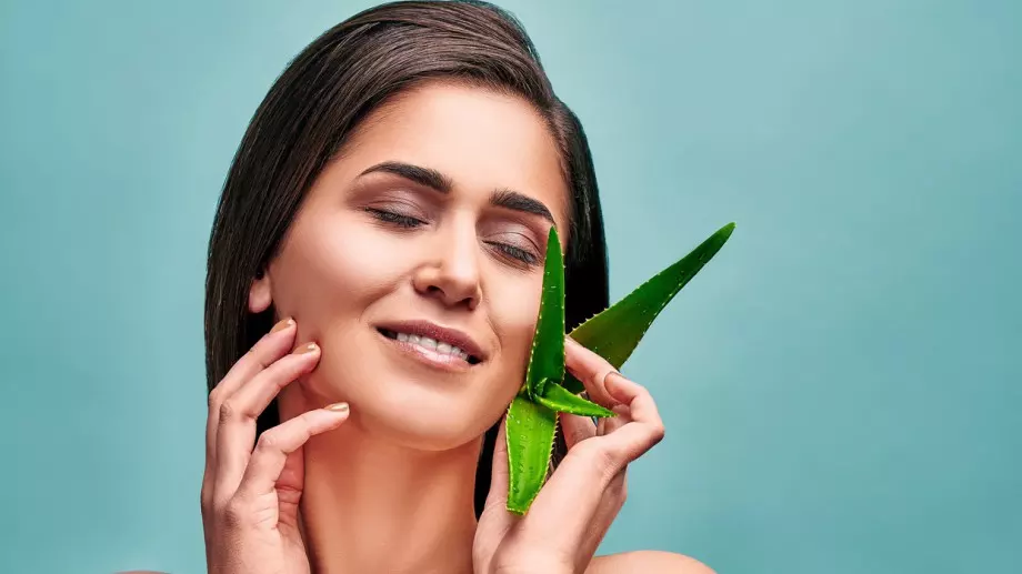 Ползи за здравето и красотата от алое вера
