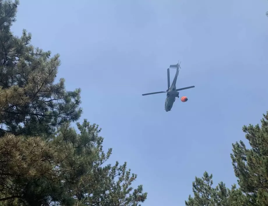 Локализиран е пожарът в Държавно горско стопанство - Твърдица 