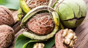 Никога не изхвърляйте тази част от орехите – прави чудеса със здравето