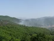 Опожарени са почти 17 000 дка в най-голямото горско в България