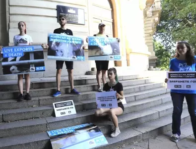 Протестиращи: Спрете жестокото транспортиране на живи животни 