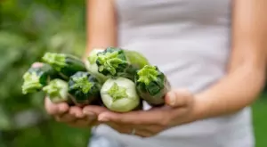 Солени гофрети от тиквички