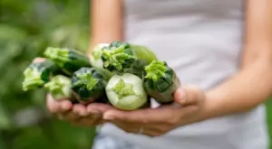 Как да си отгледате богата реколта от тиквички