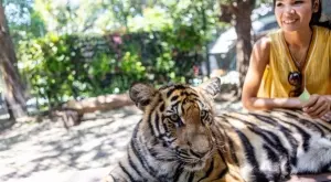 Открийте кое е вашето духовно животно според зодията      