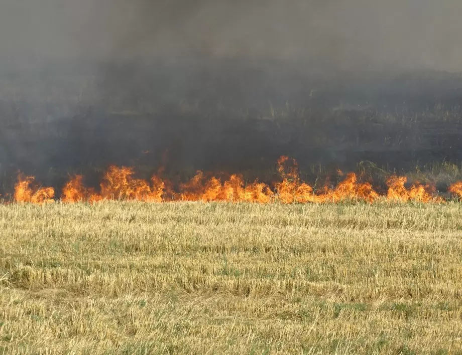 Пожарът при селата Ваксево и Фролош обхвана над 600 декара гора, ограничен е от две страни