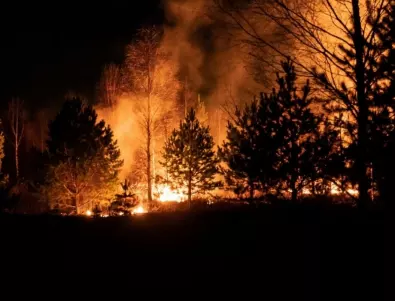 Нов пожар е възникнал в две села в община Ивайловград