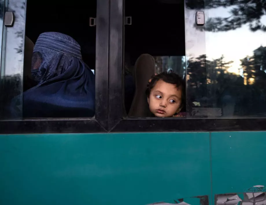 Amnesty International с критики срещу Полша, мигранти от Афганистан едва оцеляват на границата й 