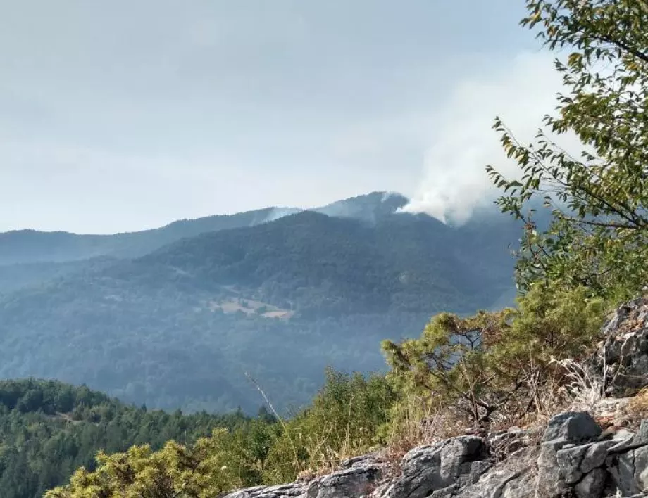 Военни хеликоптери продължават гасенето на горския пожар край селата Левски и Елшица