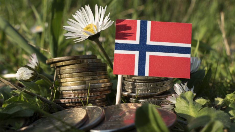 Почти всички свои социални дейности Норвегия финансира чрез държавен фонд