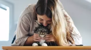 Само смъртта ги дели: 8-те най-лоялни породи котки в сравнение с кучетата