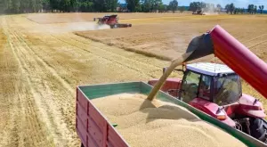 Наказаха тежко измамник, присвоил чуждо зърно за милиони