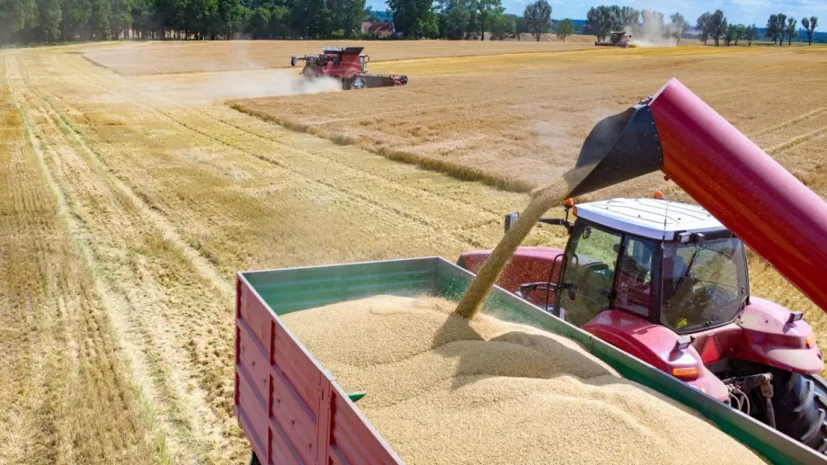 Наказаха тежко измамник, присвоил чуждо зърно за милиони