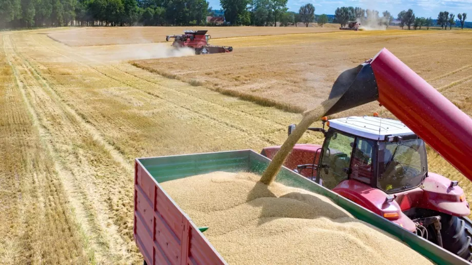 Може ли Румъния да спаси житото на Украйна?