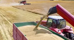 България няма да запълва със зърно резерва, очаква се добра реколта