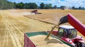 75% от общата стойност на селскостопанската продукция у нас се дължи на растениевъдство