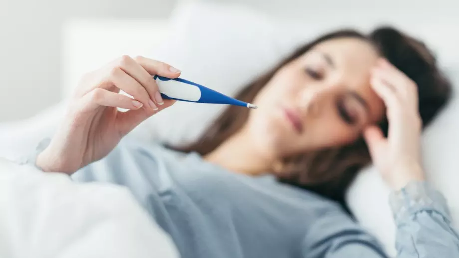 Тази билка ще ви помогне при температура и главоболие