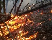 Евакуират село в Закинтос заради пожар 
