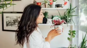 Лесни за гледане цветя, които ще ароматизират дома ви