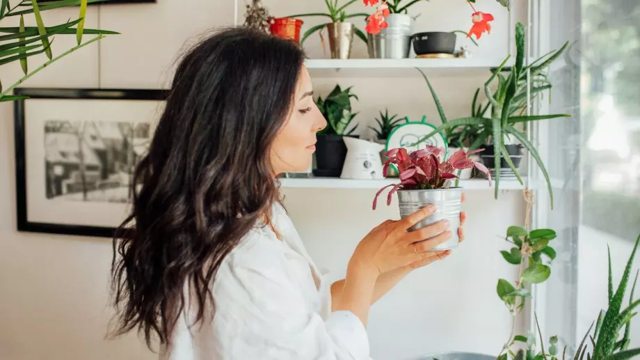 Лесни за гледане цветя, които ще ароматизират дома ви