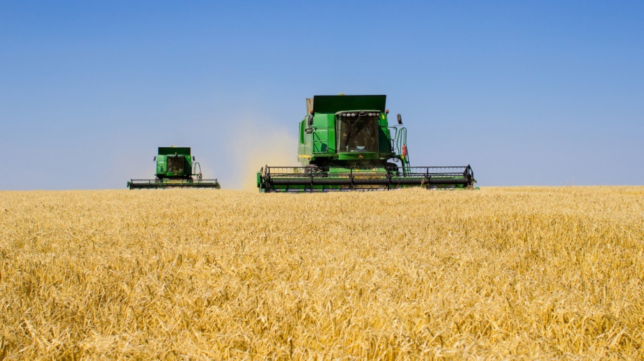 Рекордната реколта от пшеница предизвика вълна от оптимизъм в земеделския