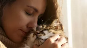 Няма да повярвате защо котките мъркат