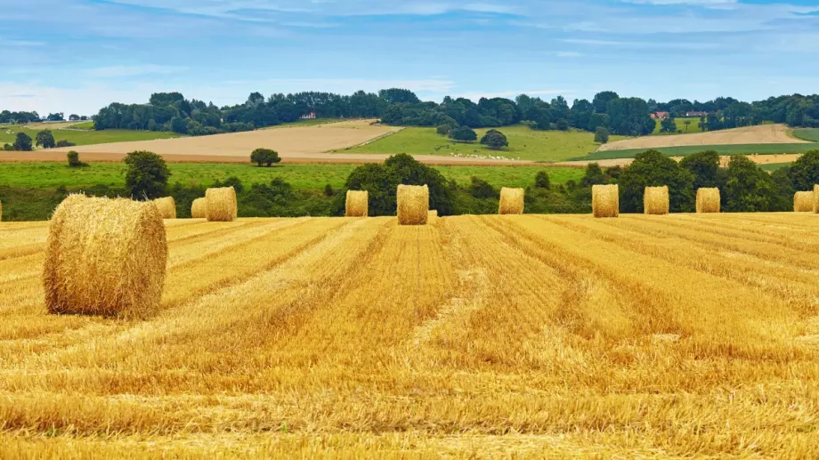 Земеделската земя поскъпна сериозно