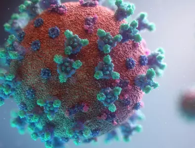 Откритият във Франция вариант на коронавируса не се е разпространил
