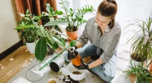 Лесен домашен тор, с който цветята ще растат като луди