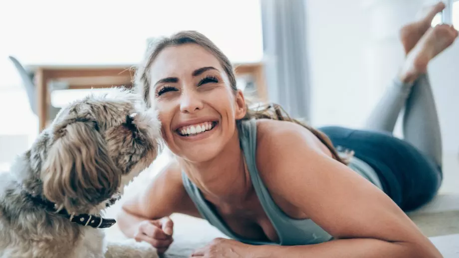 Кои аромати са безопасни за домашните любимци и кои не  