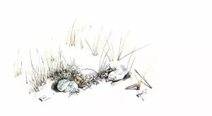 Nature Takes Back - морални и екологични уроци