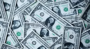 ФБР обяви като заплаха за националната сигурност румънка, откраднала пари от няколко банки в САЩ