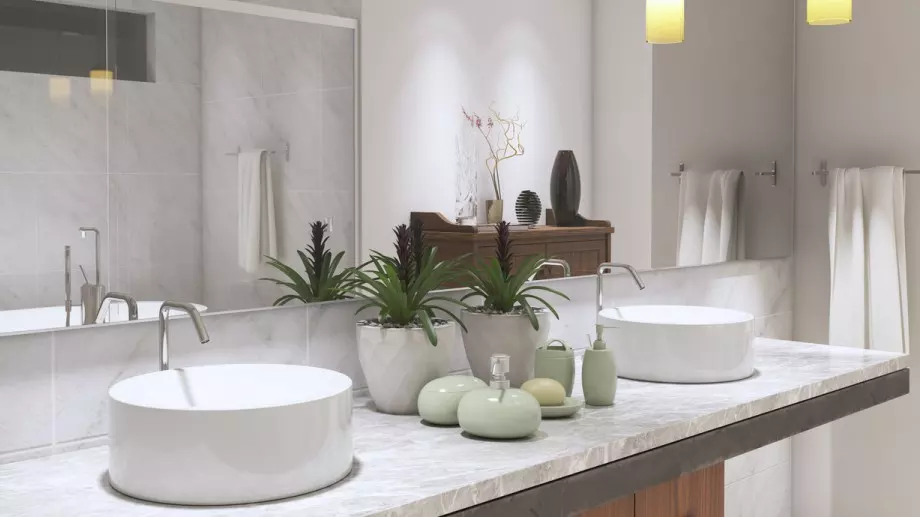 Това са растенията, които можете да отглеждате и в банята си