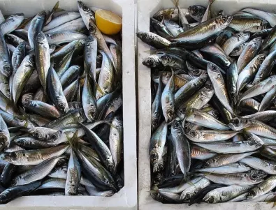 Франция заплаши Великобритания със санкции заради риболова 