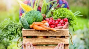 Настойката от тази пролетна билка ще увеличи реколтата на всичко в градината