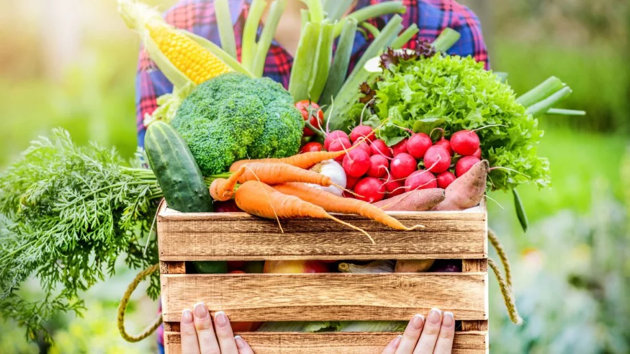 Настойката от тази пролетна билка ще увеличи реколтата на всичко в градината