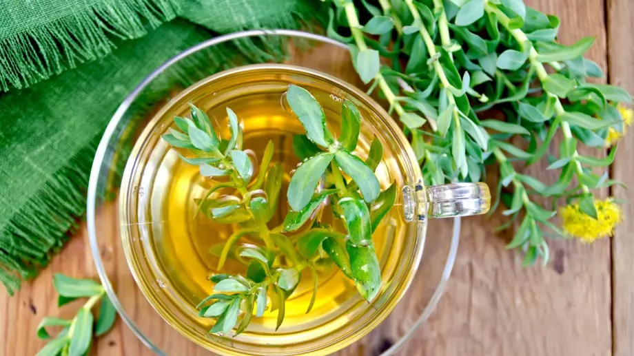 Златен корен – билката, която ще промени живота ви