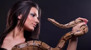 Зодиакални знаци, с които трябва да сте много внимателни   