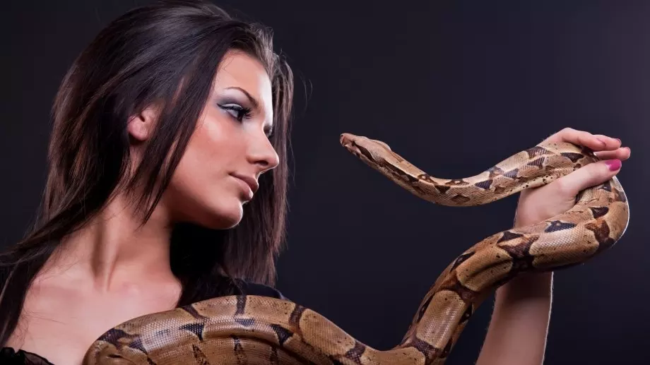 Зодиакални знаци, с които трябва да сте много внимателни   