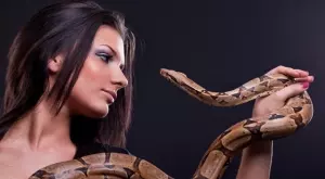 Ето какво означава, ако сънувате змия 