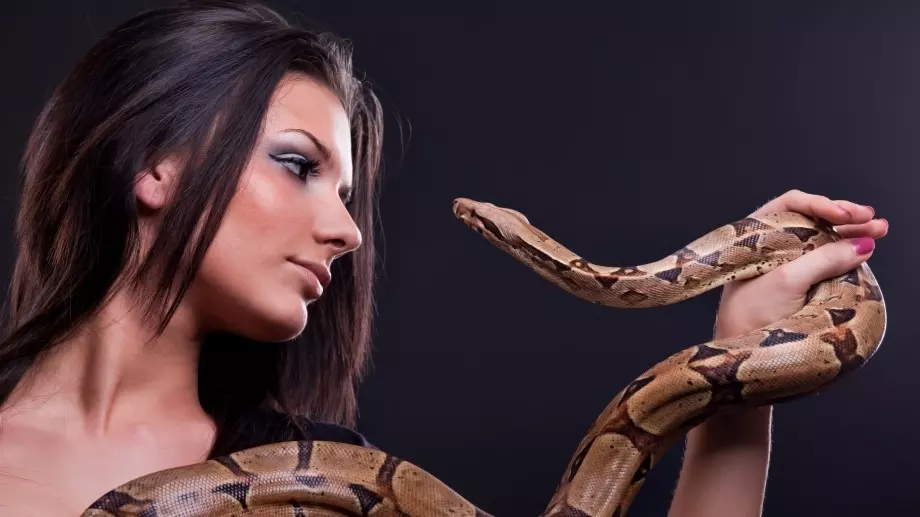 Ето какво означава, ако сънувате змия 