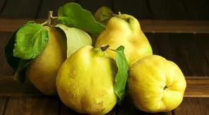 За какво е полезна дюлята?