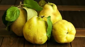 Научете ползите от дюлята  