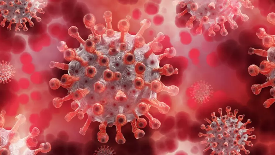 ЕС предлага забрана на полетите от Южна Африка заради новия Covid вариант