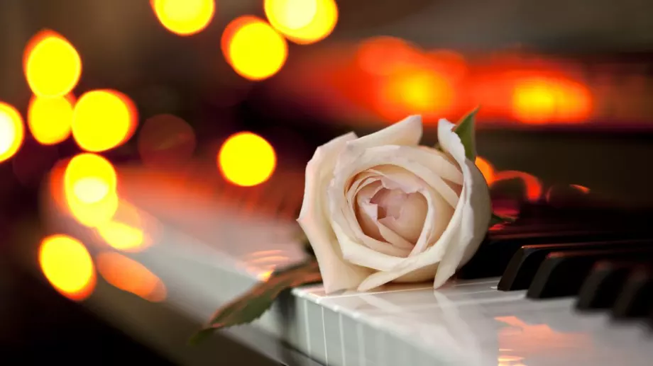 Концерт на хора и растения за първи път у нас 