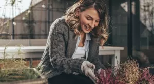 Какви грижи трябва да положим за цветята през октомври/ноември