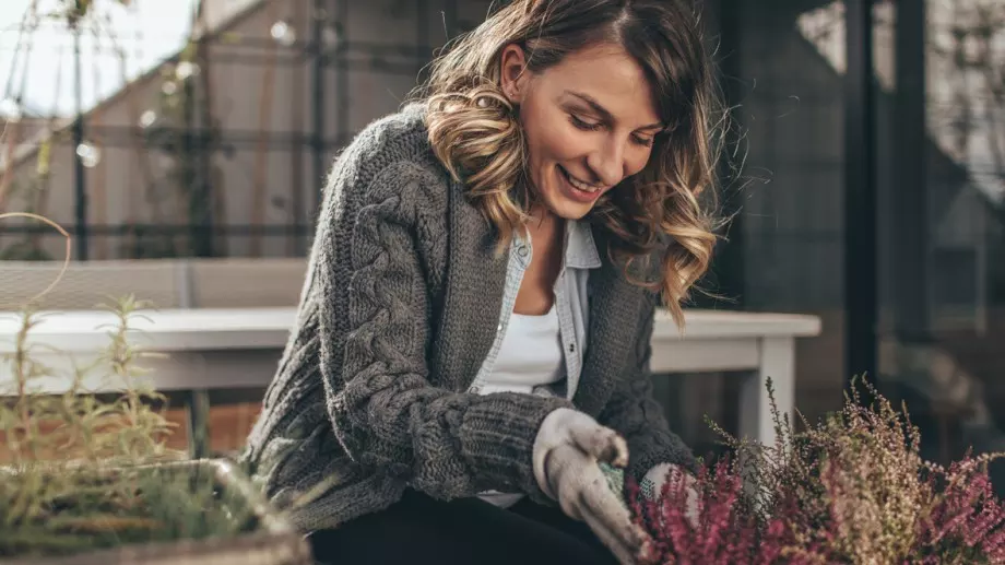 5 градински тенденции, които да пробвате през 2024