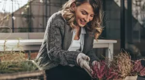 Създадоха електропроводима почва, която стимулира посевите