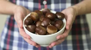Ето защо имам кестени у дома всяка година