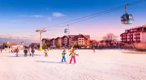 2021/10/31/0552043001635708347